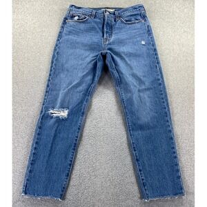 Levis Wedgie Jean Women's Size 28 Premium Big E Straight High Rise Button Fly